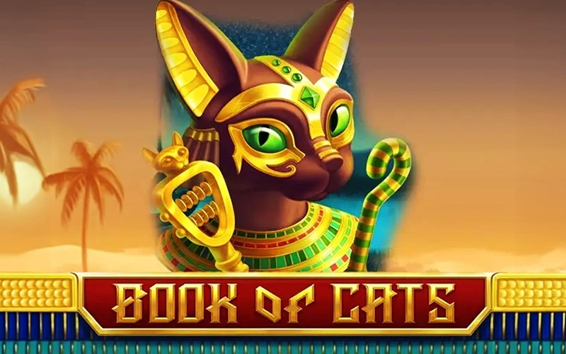 Discover Book of Cats slot at 1Win.